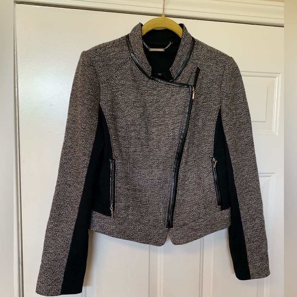 White House Black Market Women's Tweed Moto Jacket 🌴